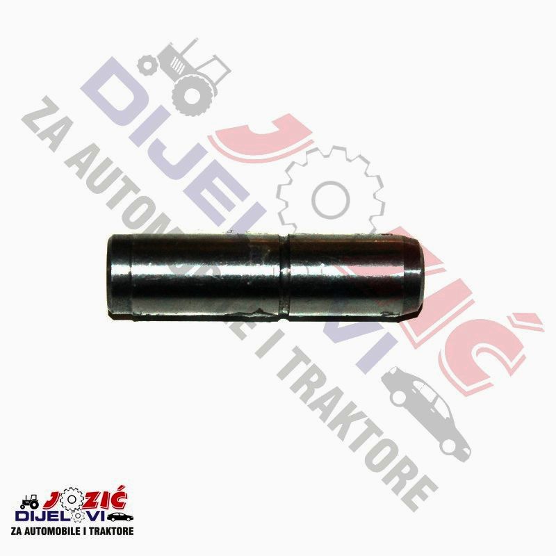 Daisy on the Ohoopee